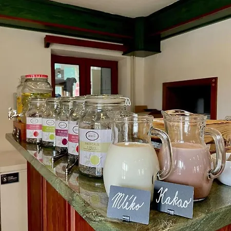 Guest house U Prehrady Luhacovice